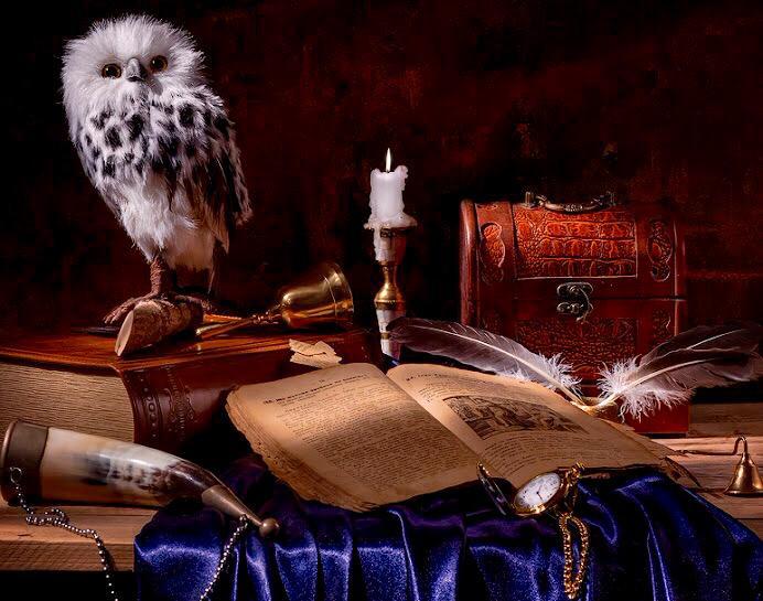 Eule, Bücher und Schreibutensilien